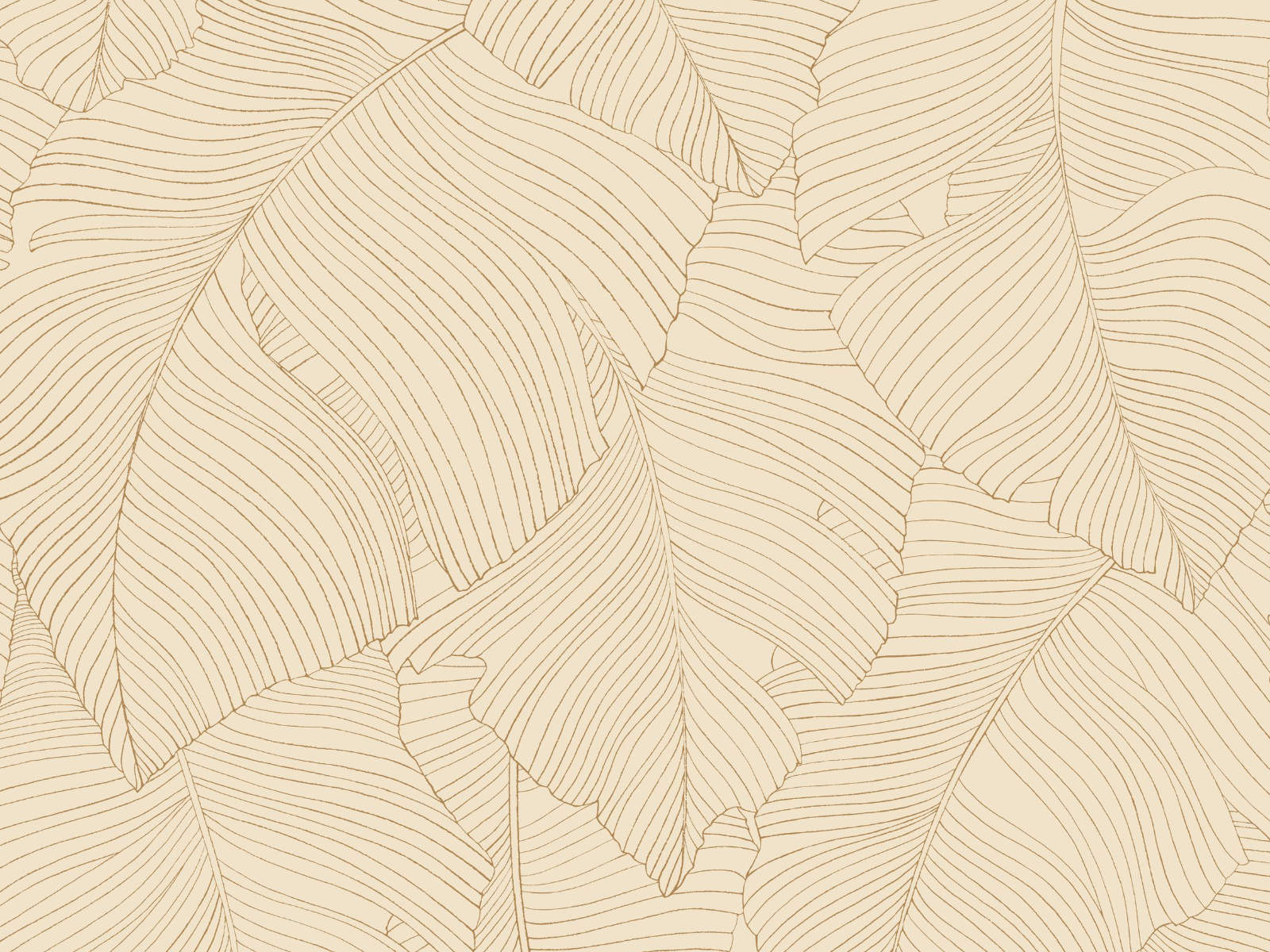 Caselio Borneo Vegetalia - 106502017