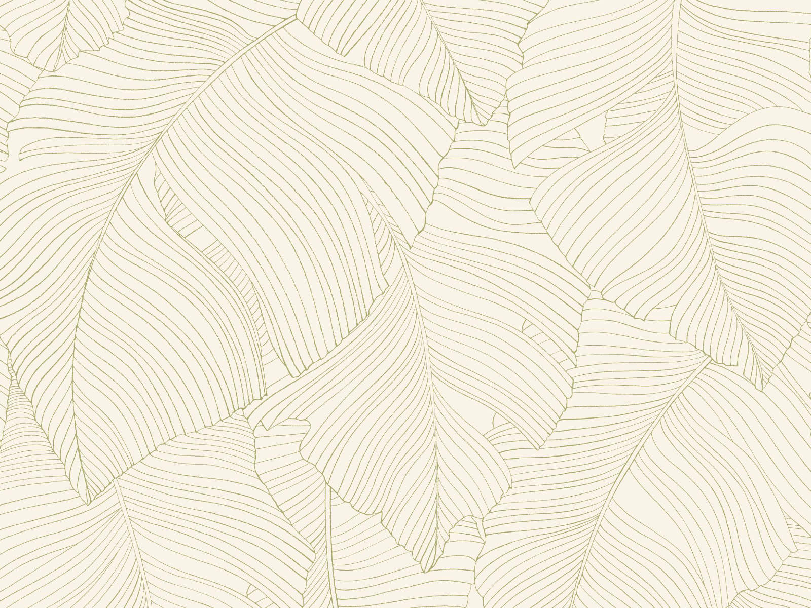 Caselio Borneo Vegetalia - 106507050