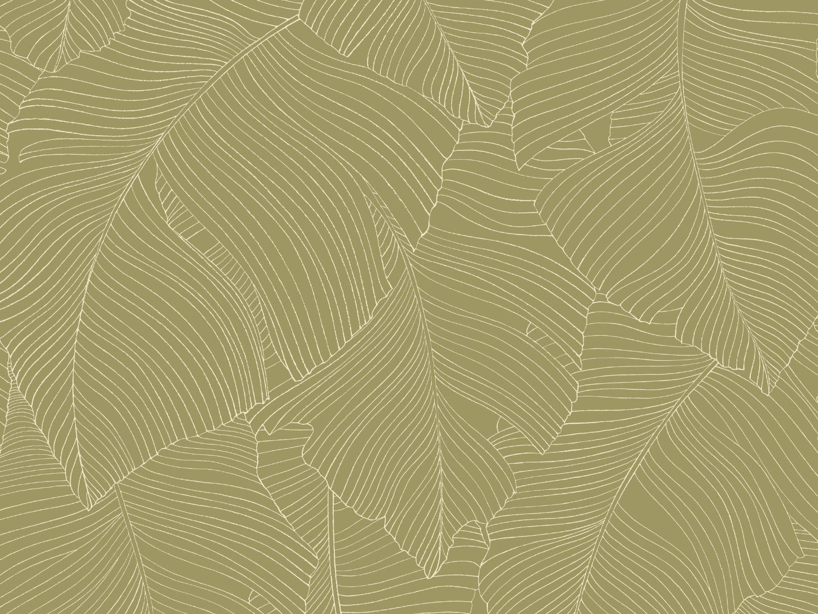 Caselio Borneo Vegetalia - 106507170