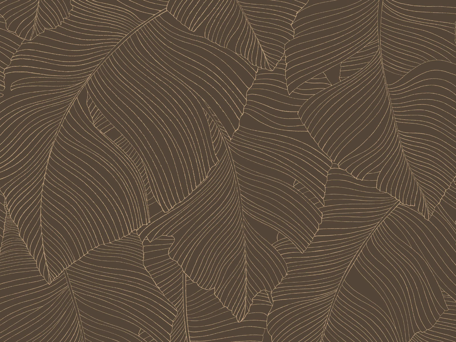 Caselio Borneo Vegetalia - 106509027