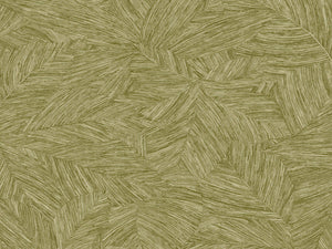 Caselio Borneo Archipel - 106517187
