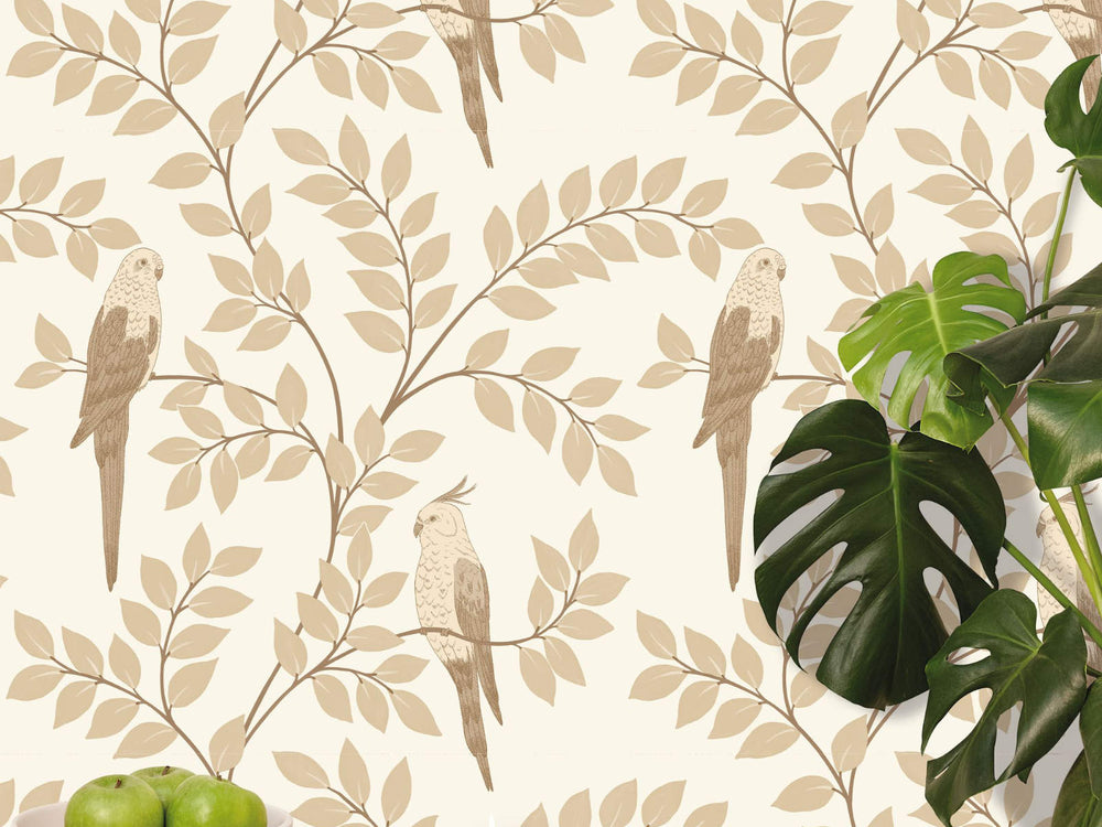 Caselio Borneo Equateur - 106521000