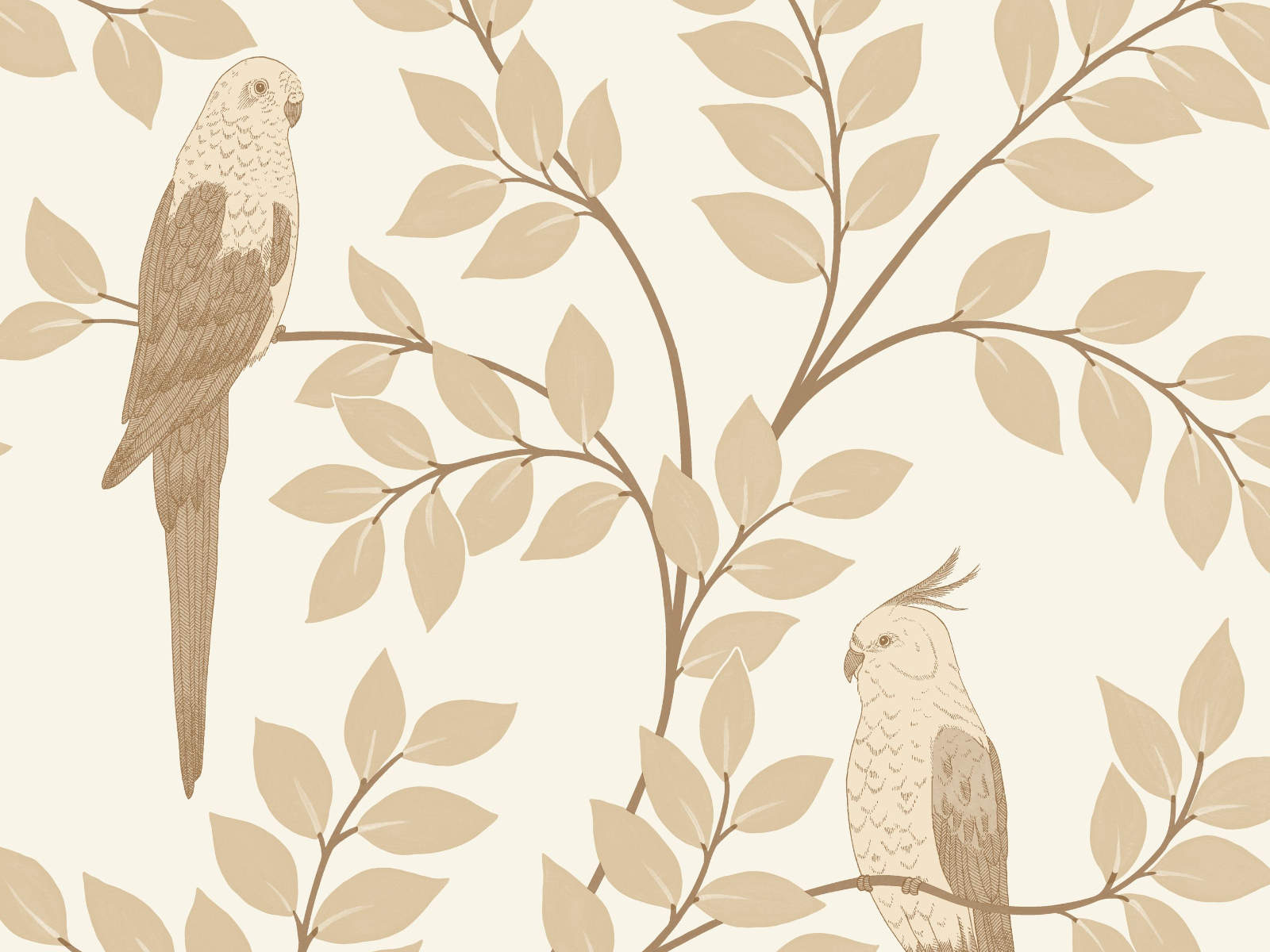 Caselio Borneo Equateur - 106521000