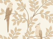 Caselio Borneo Equateur - 106521000