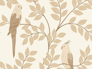 Caselio Borneo Equateur - 106521000