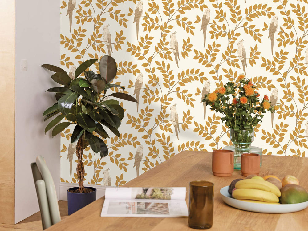 Caselio Borneo Equateur - 106522000