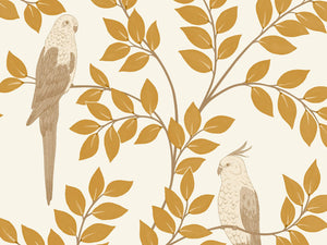 Caselio Borneo Equateur - 106522000