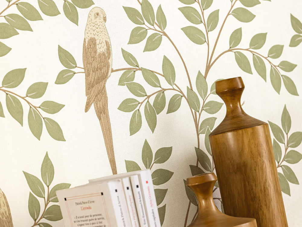 Caselio Borneo Equateur - 106527070