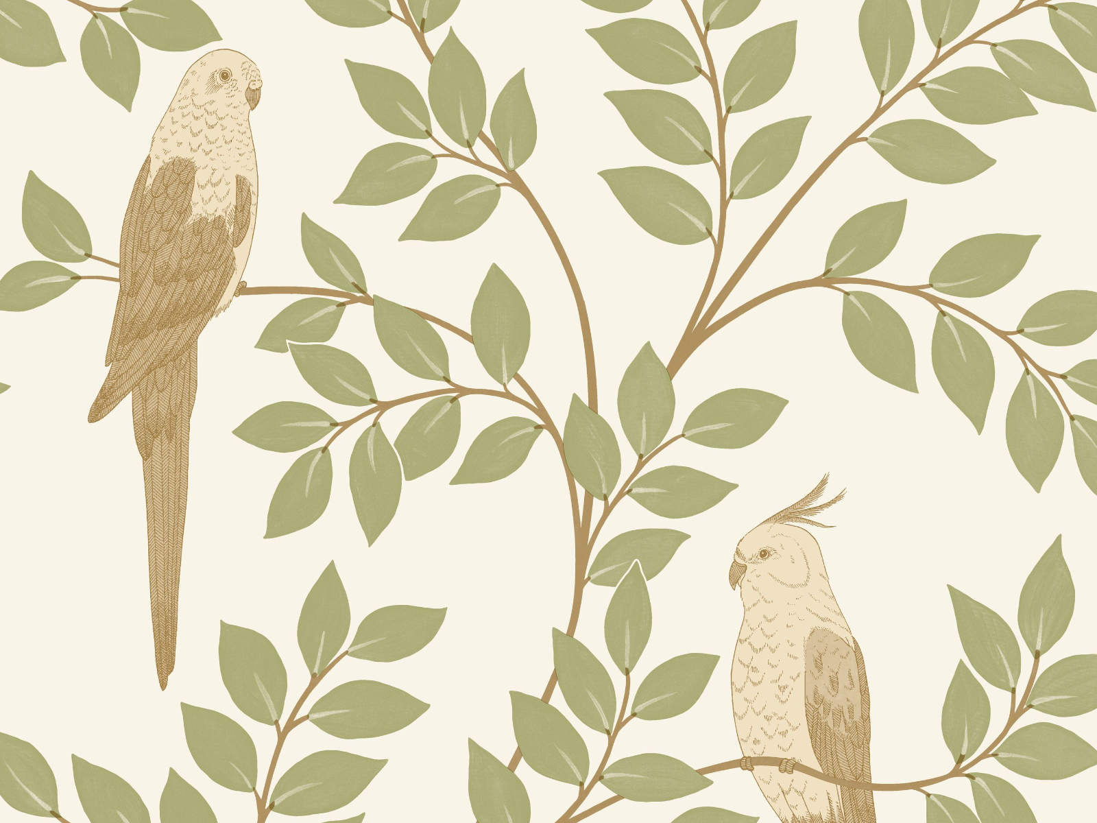 Caselio Borneo Equateur - 106527070