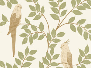 Caselio Borneo Equateur - 106527070