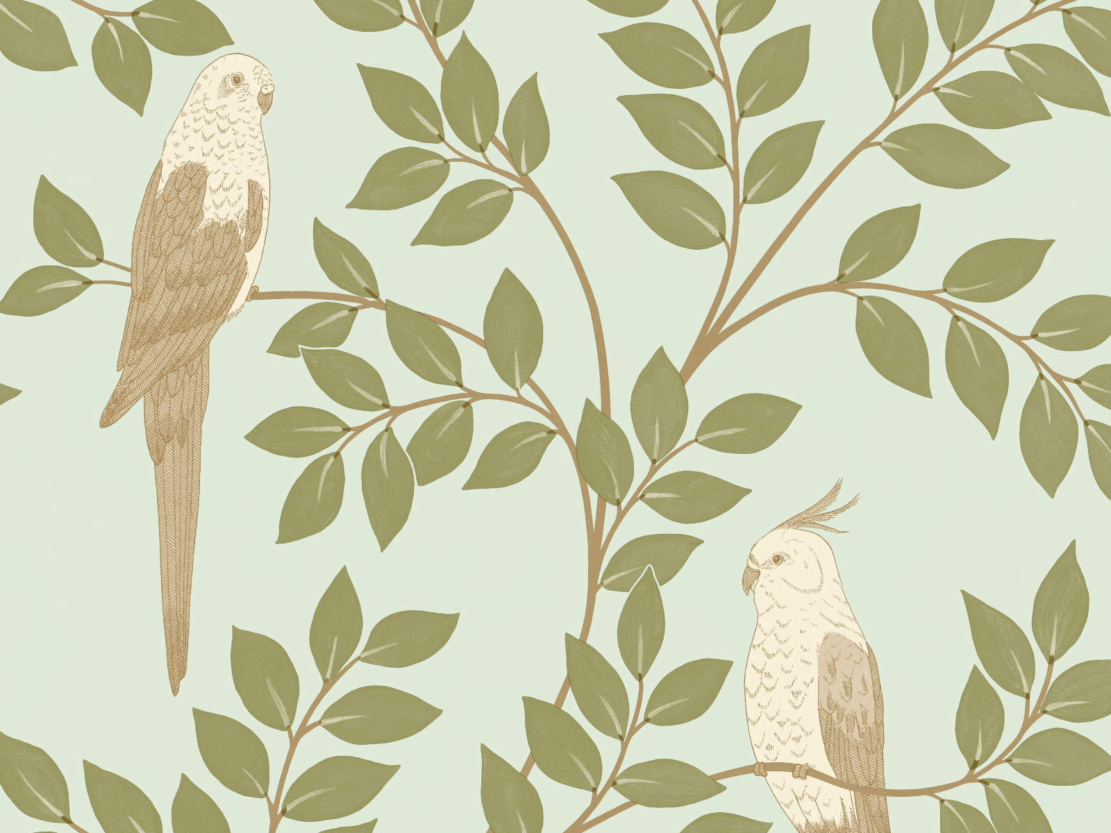 Caselio Borneo Equateur - 106527162