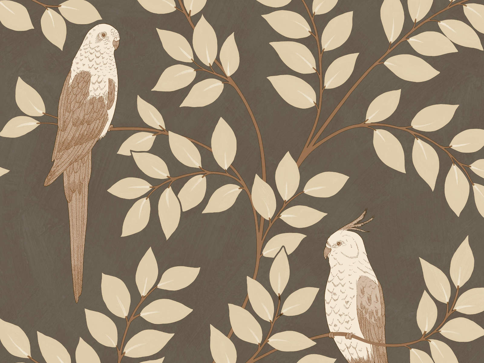 Caselio Borneo Equateur - 106529023