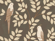 Caselio Borneo Equateur - 106529023