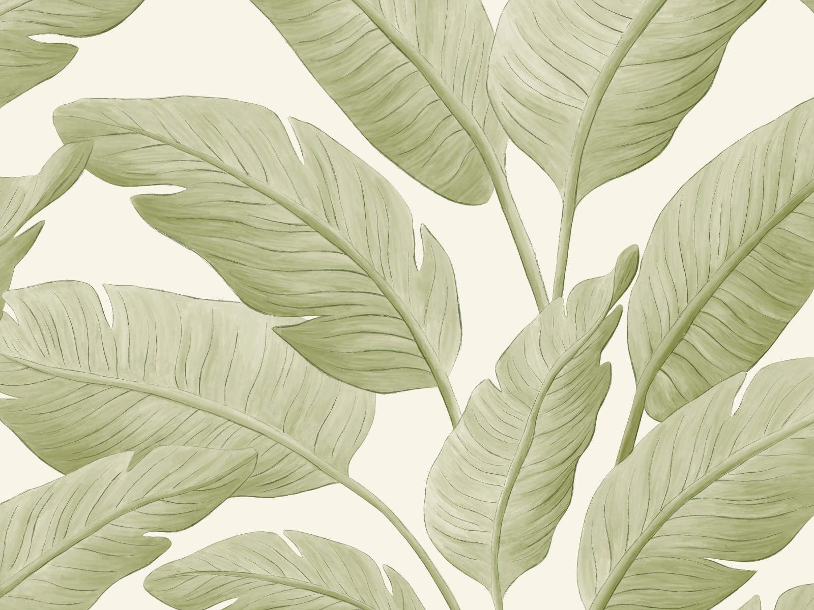 Caselio Borneo Tropicalia - 106547003