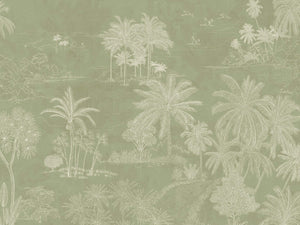 Caselio Borneo Timor Vert M - 106554001