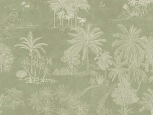 Caselio Borneo Timor Vert S - 106554006