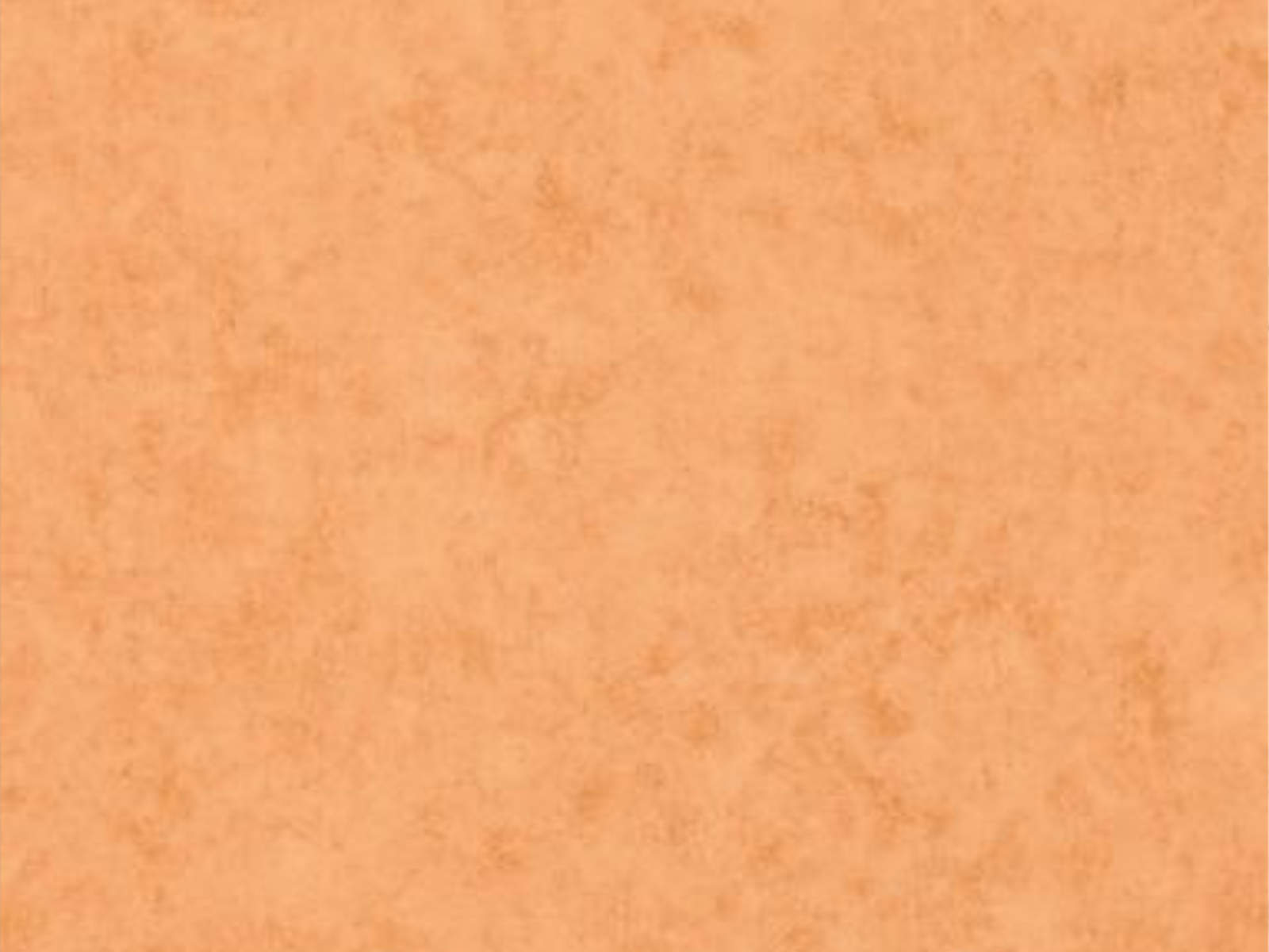 Caselio Color Box 3 Beton - 3101483312