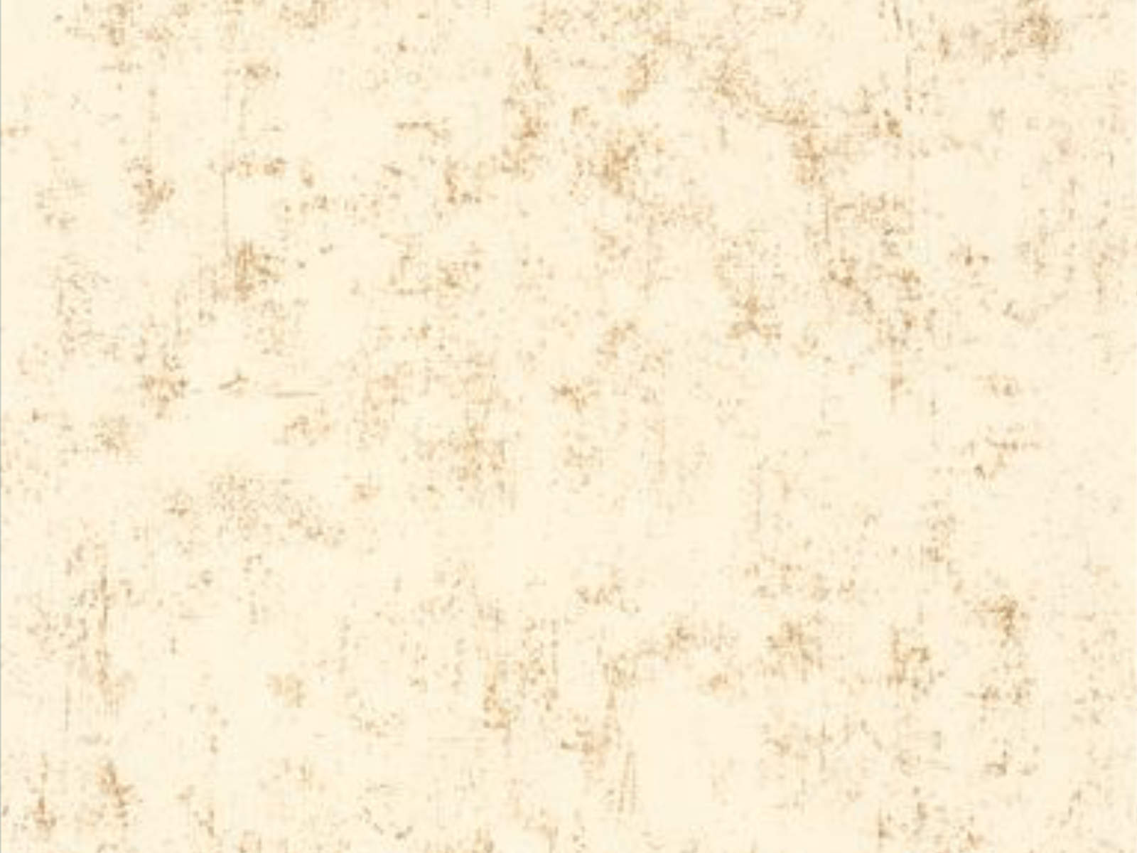 Caselio Color Box 3 Beton - 3101491528