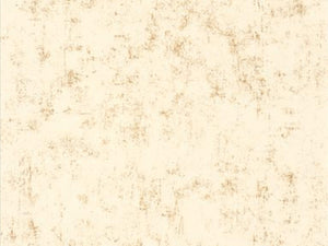 Caselio Color Box 3 Beton - 3101491528