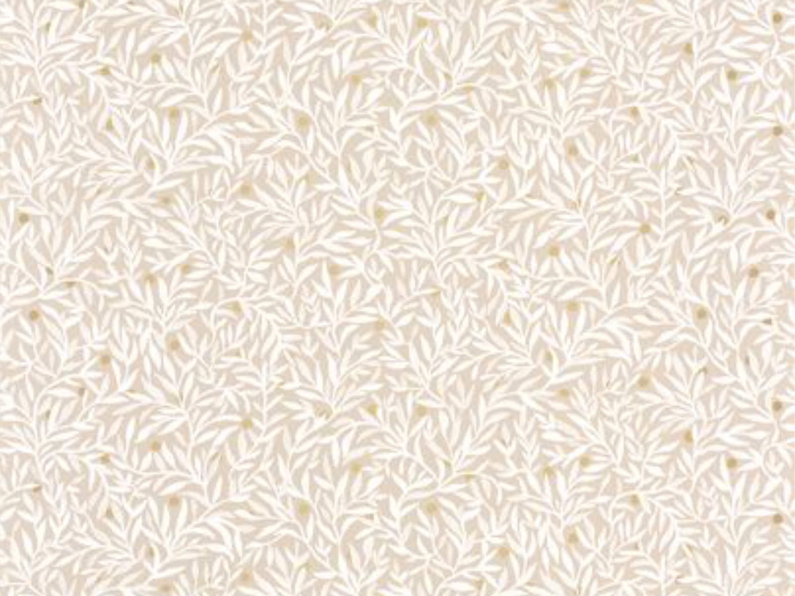 Caselio Color Box 3 Ballade - 3102341079