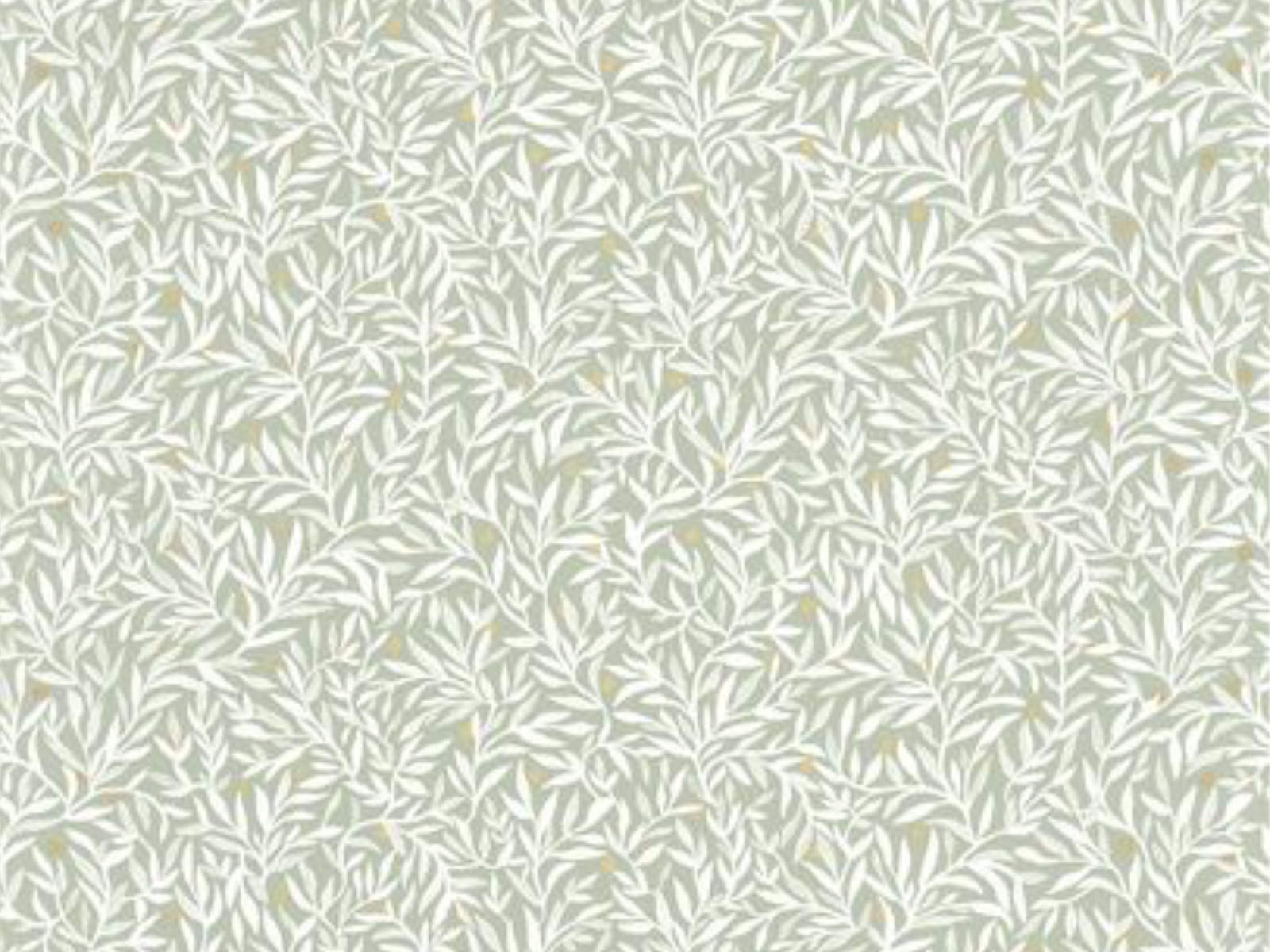 Caselio Color Box 3 Ballade - 3102347061