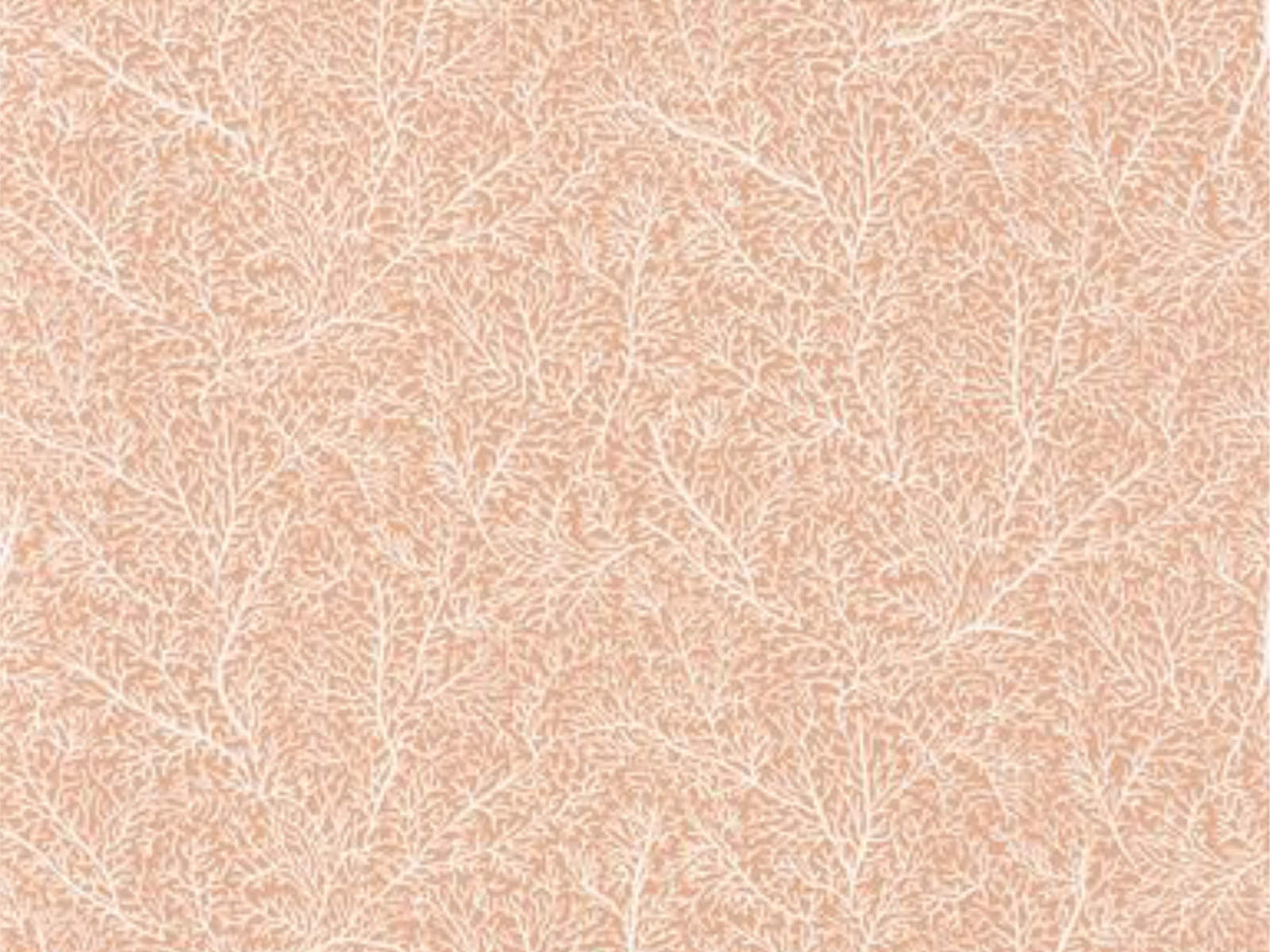 Caselio Color Box 3 Only Chips - 3102783097