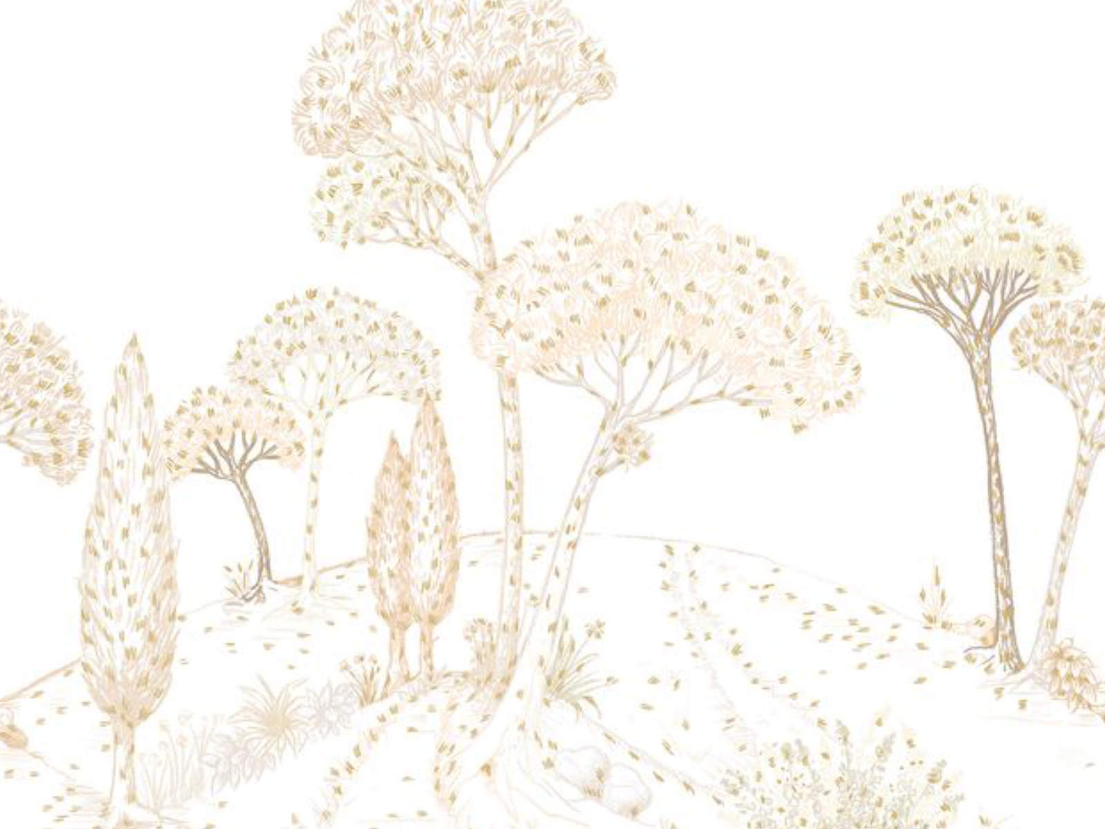 Caselio Color Box 3 Stockholm M - 3105880101