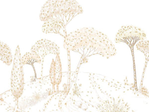 Caselio Color Box 3 Stockholm M - 3105880101