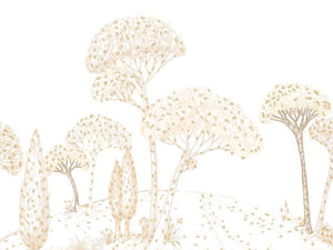 Caselio Color Box 3 Stockholm L - 3105880102