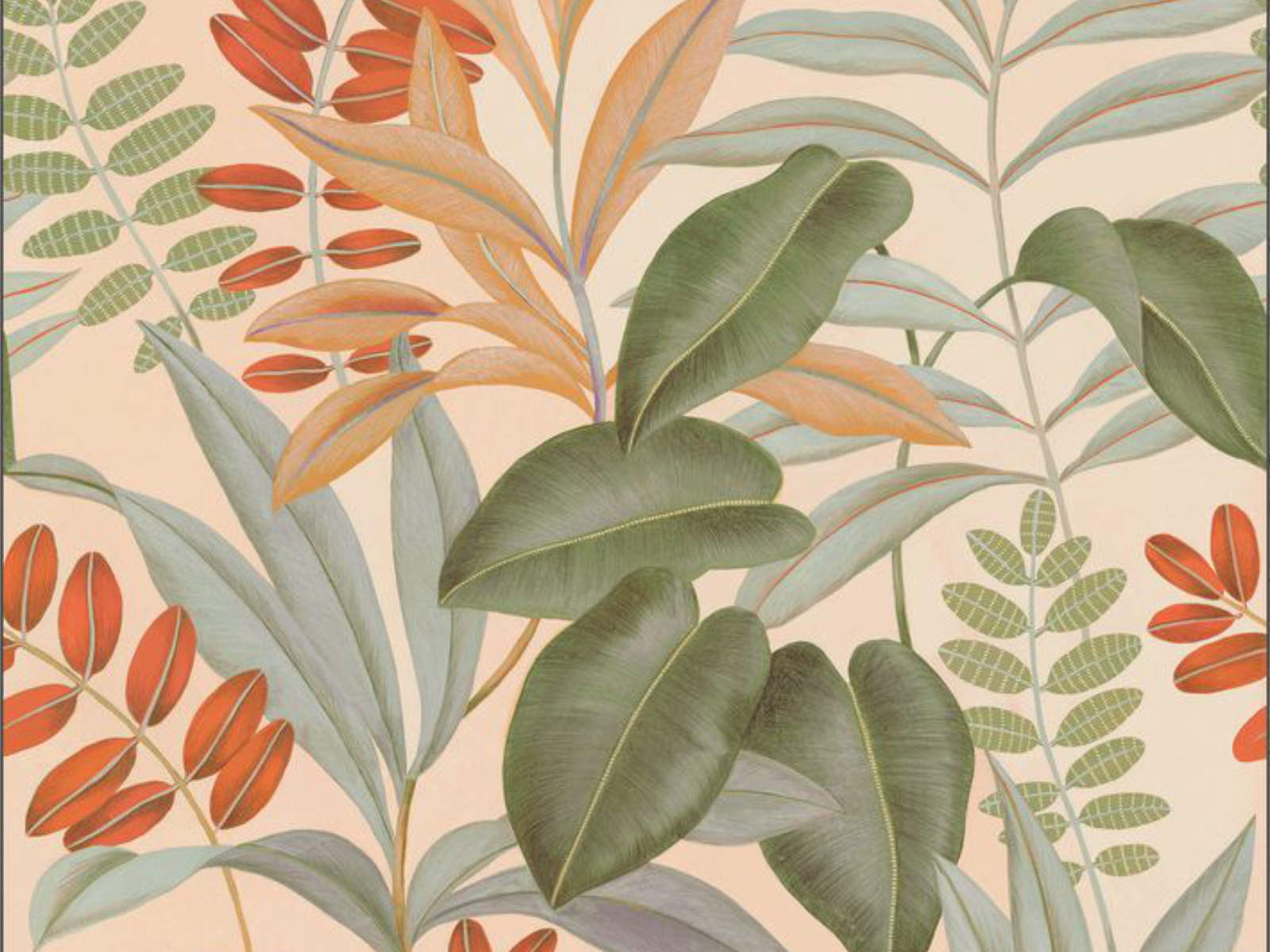 Caselio Color Box 3 Avignon S - 3105901406