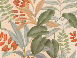 Caselio Color Box 3 Avignon S - 3105901406