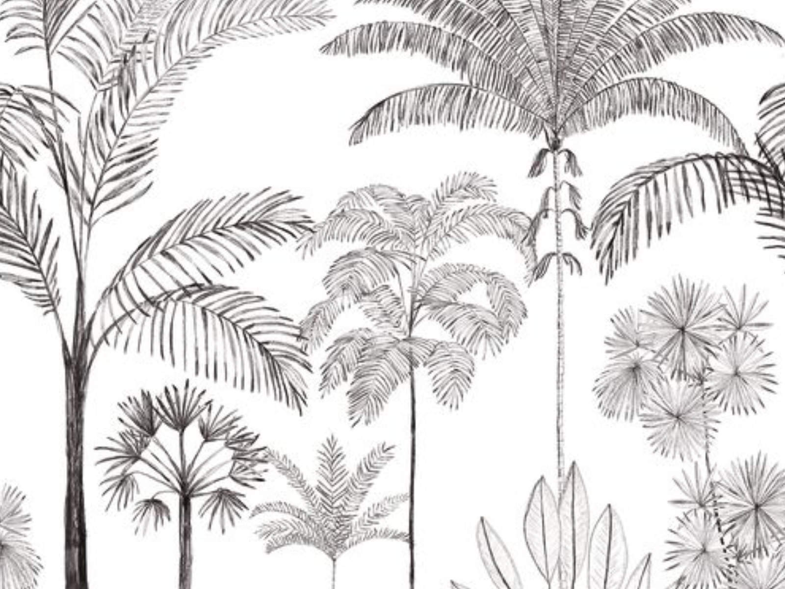 Caselio Color Box 3 Sau Paulo M - 3105919103