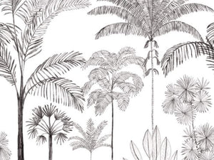 Caselio Color Box 3 Sau Paulo M - 3105919103