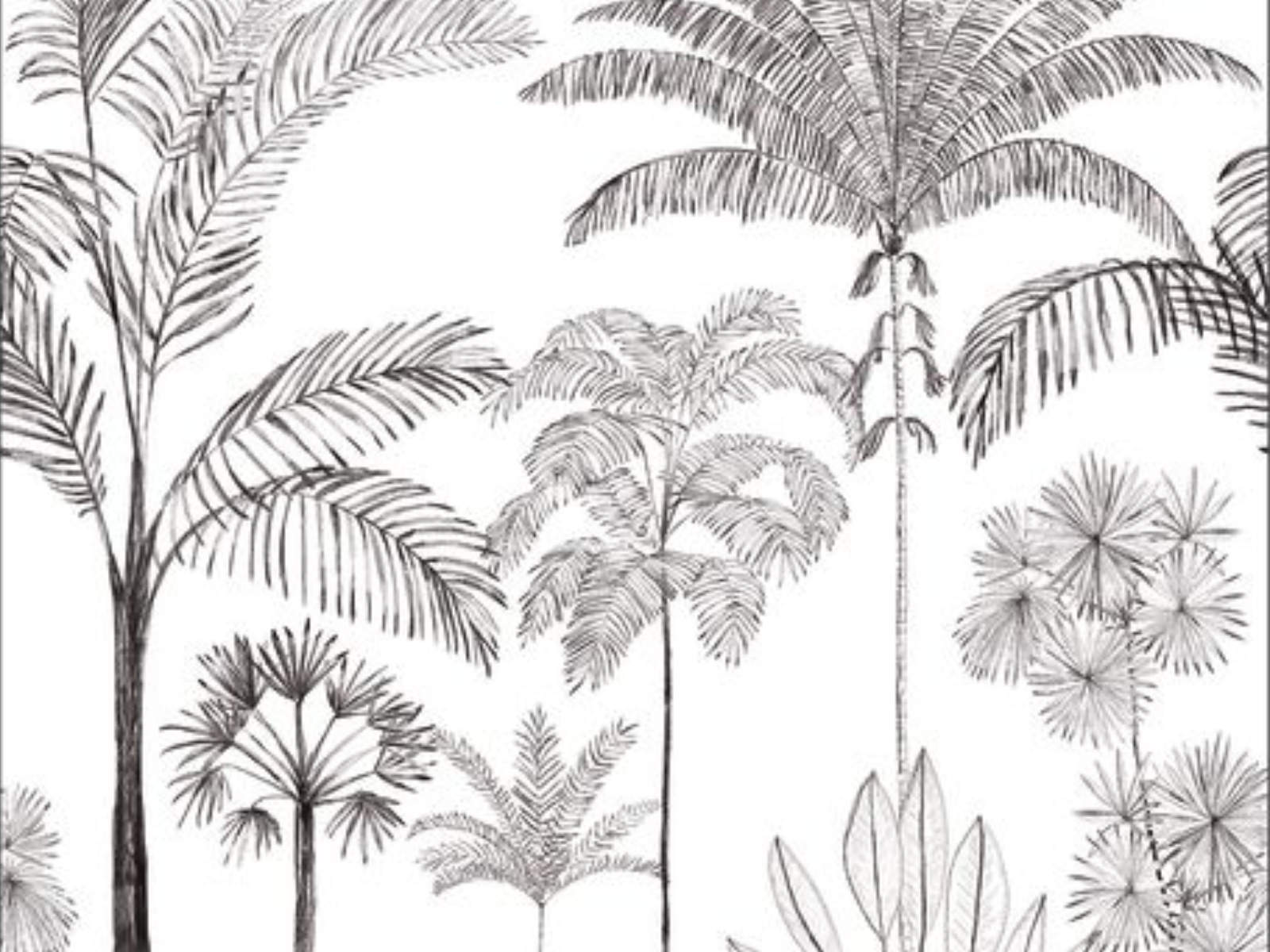 Caselio Color Box 3 Sau Paulo L - 3105919104