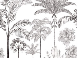 Caselio Color Box 3 Sau Paulo L - 3105919104