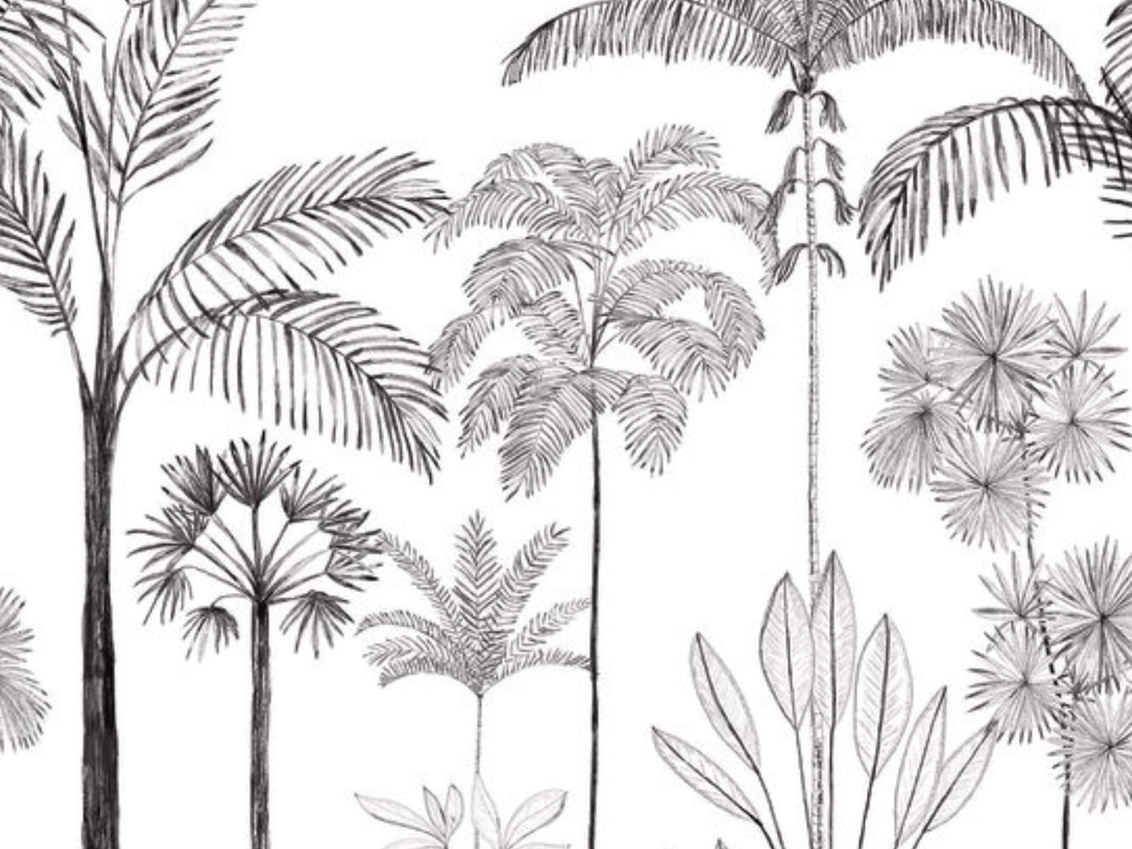 Caselio Color Box 3 Sau Paulo S - 3105919105