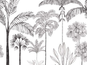 Caselio Color Box 3 Sau Paulo S - 3105919105