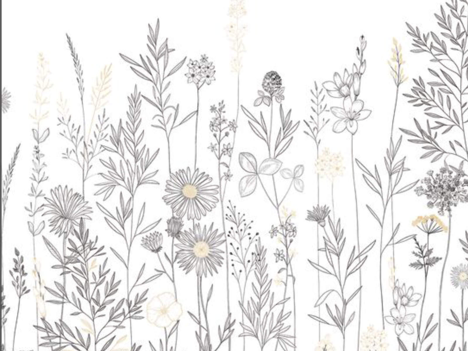 Caselio Color Box 3 Montmartre M - 3105920901