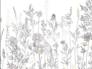 Caselio Color Box 3 Montmartre M - 3105920901