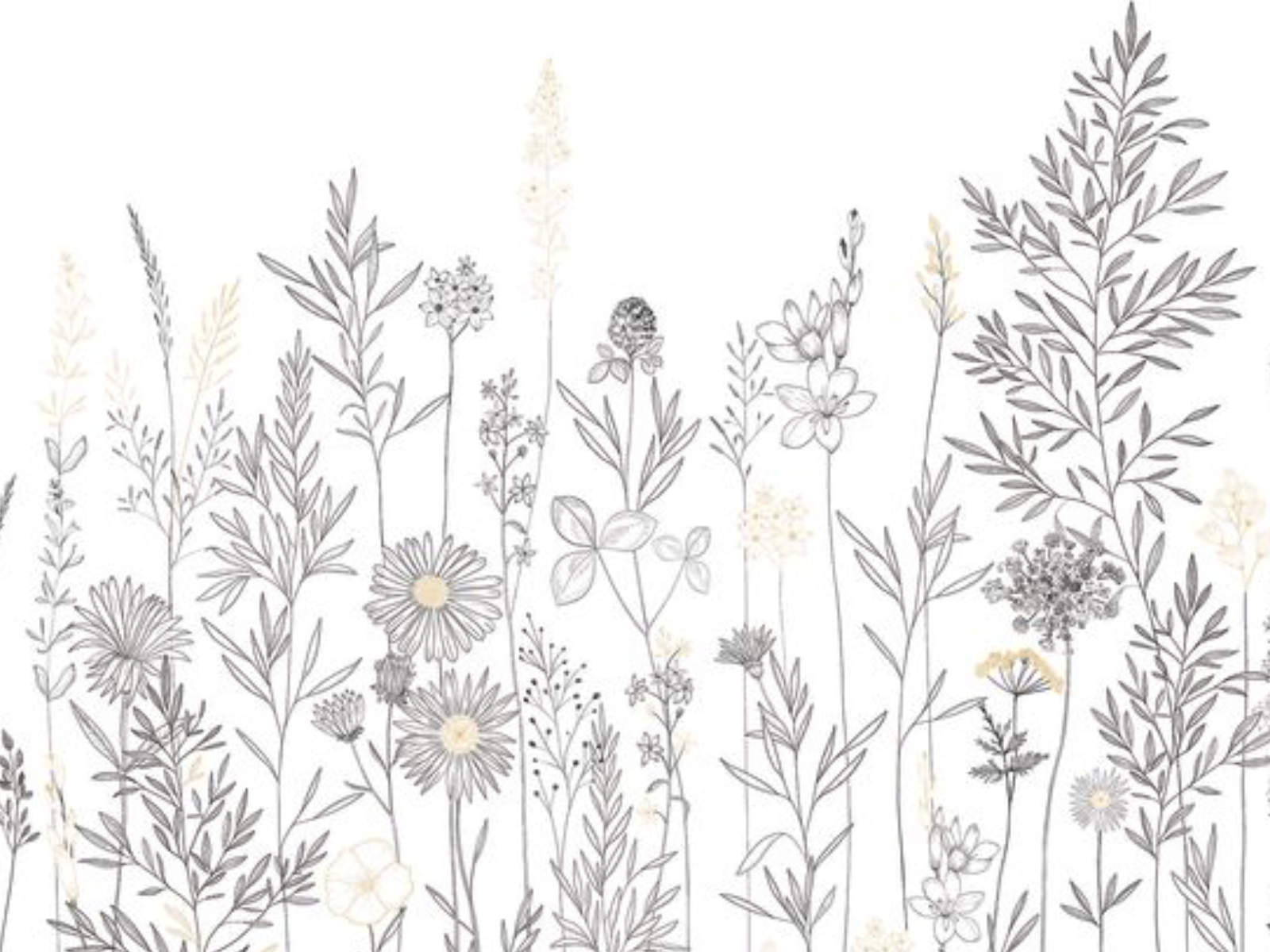 Caselio Color Box 3 Montmartre L - 3105920902