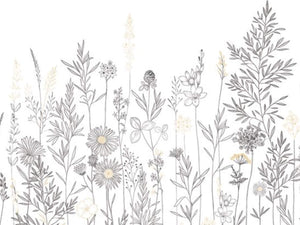 Caselio Color Box 3 Montmartre L - 3105920902