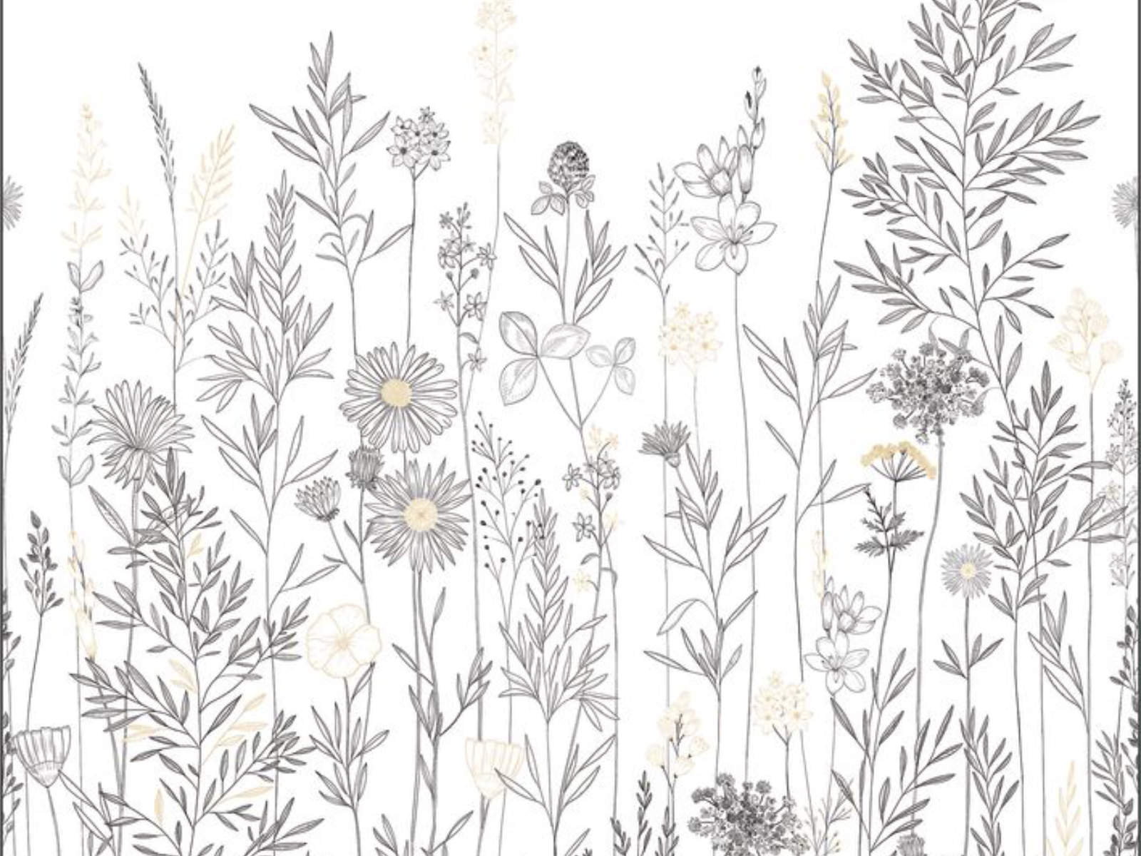 Caselio Color Box 3 Montmartre S - 3105920906