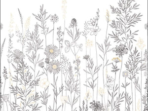 Caselio Color Box 3 Montmartre S - 3105920906