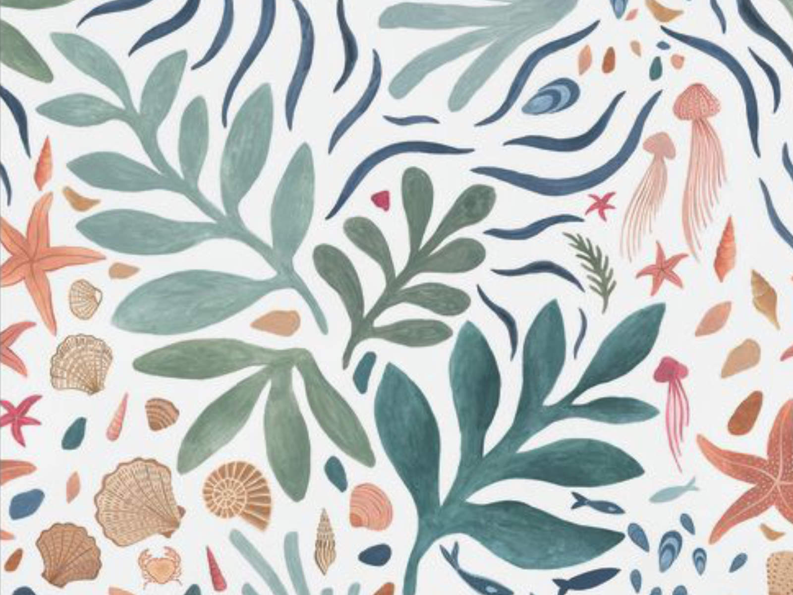 Caselio Color Box 3 Seychelles M - 3105946103