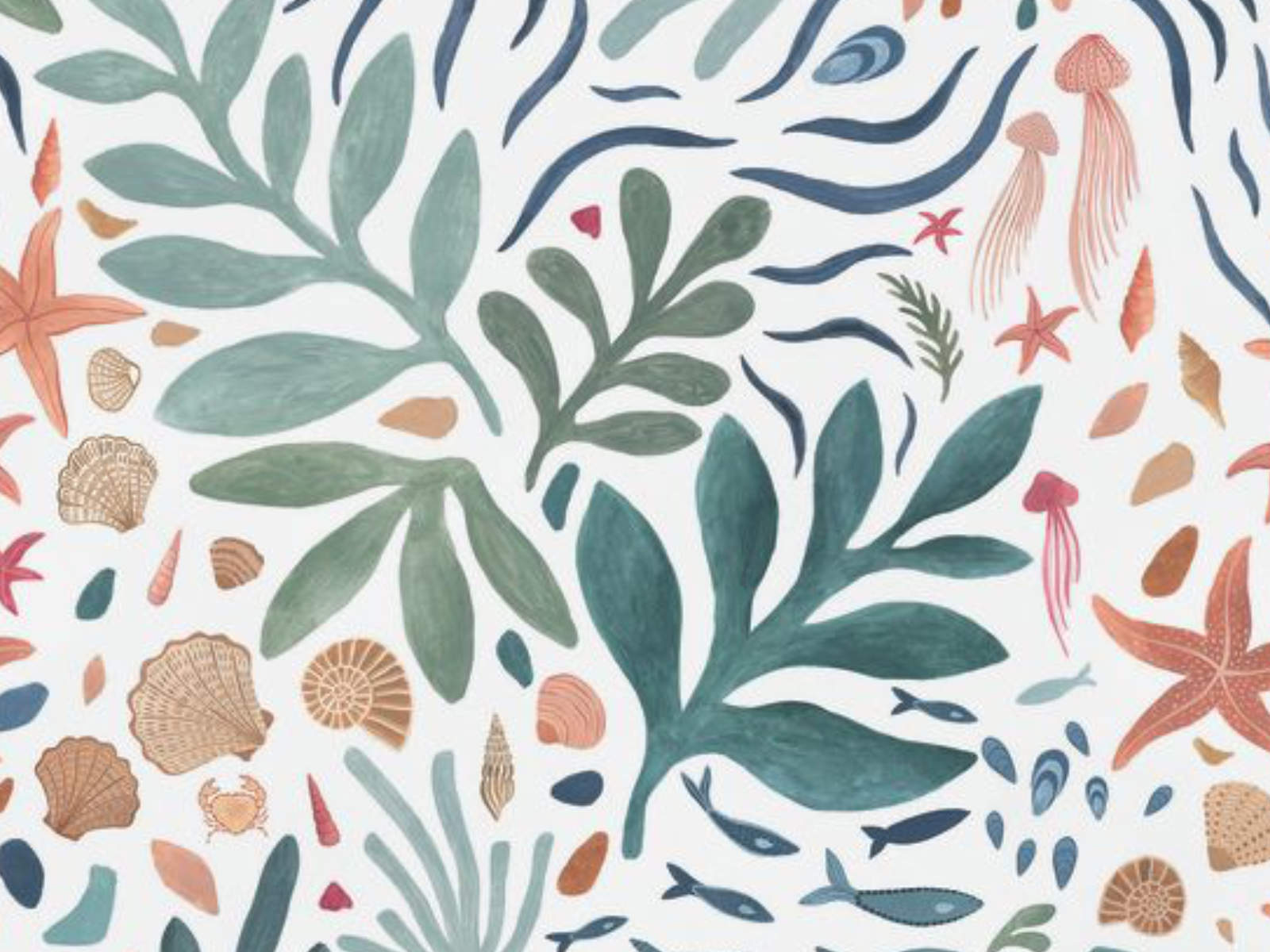 Caselio Color Box 3 Seychelles S - 3105946105