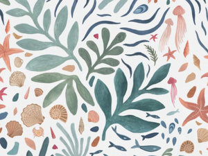 Caselio Color Box 3 Seychelles S - 3105946105