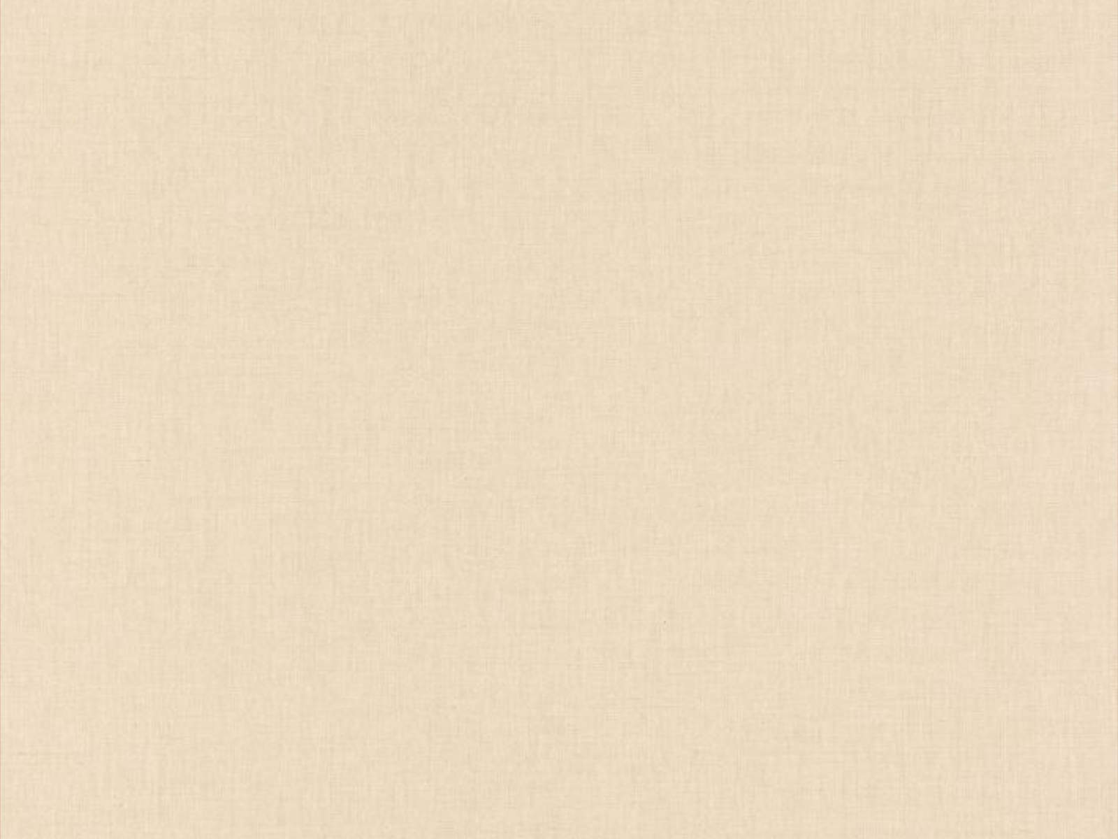 Caselio Color Box 3 Linen  - 368521289