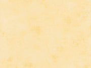 Caselio Color Box 3 Telas - 369872245