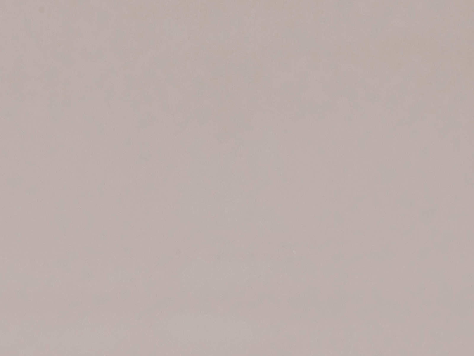 Casamance Mellow Hestia - 71050812