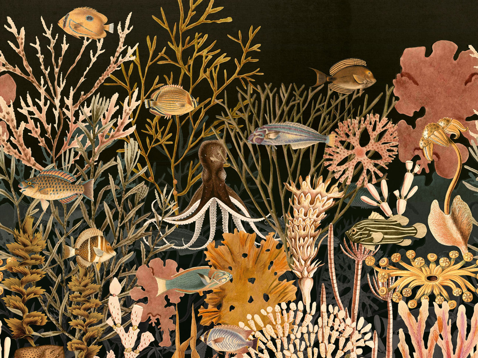 Casamance Exploration Moorea - 71300350